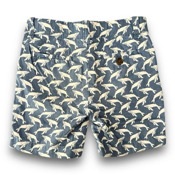Crewcuts | Boys’ Whale Print Chino Shorts (3) 🐋 - Picture 4 of 6